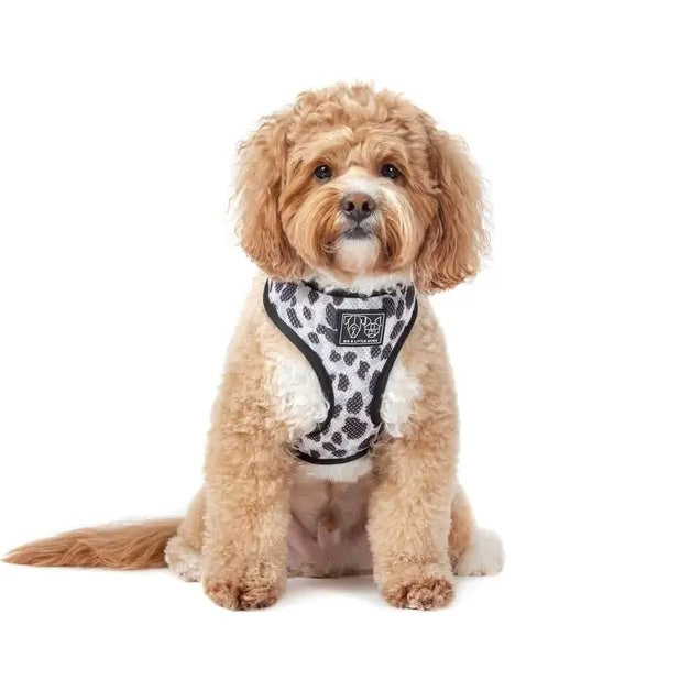Pretty Peony/Grey Leopard Reversible Harness
