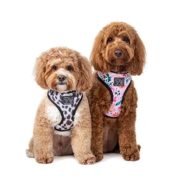 Pretty Peony/Grey Leopard Reversible Harness