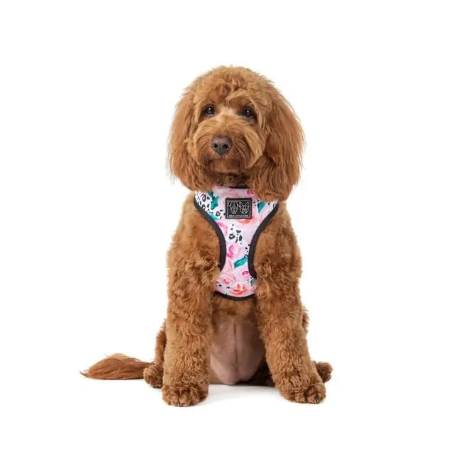 Pretty Peony/Grey Leopard Reversible Harness