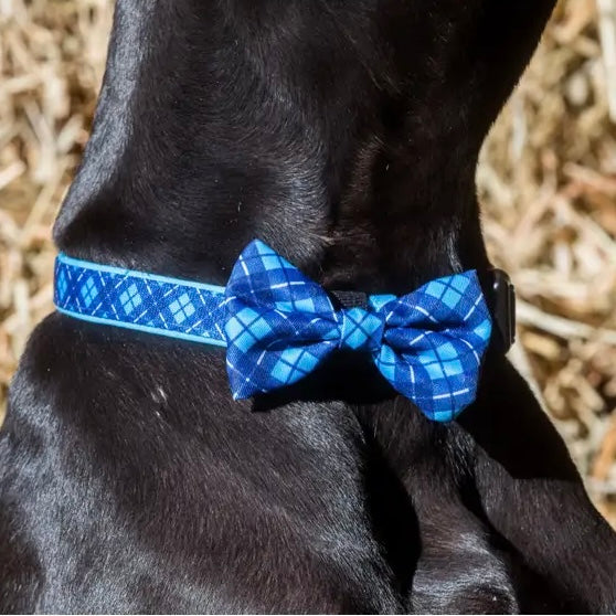 His Plaid Collar + Bow Tie