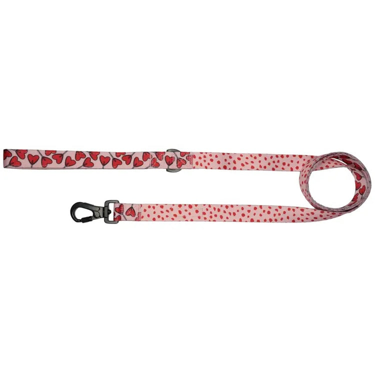 Love Hearts Lead