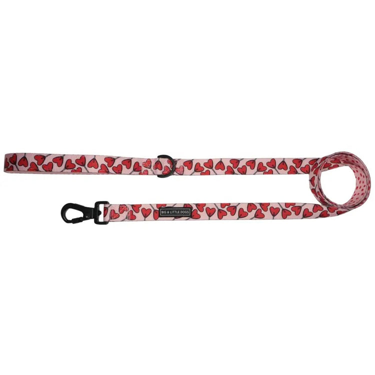 Love Hearts Lead