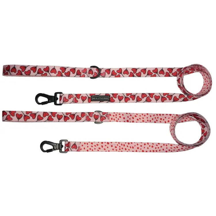 Love Hearts Lead
