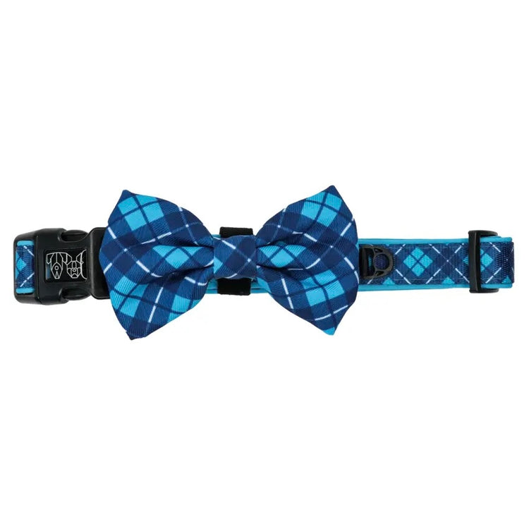 His Plaid Collar + Bow Tie