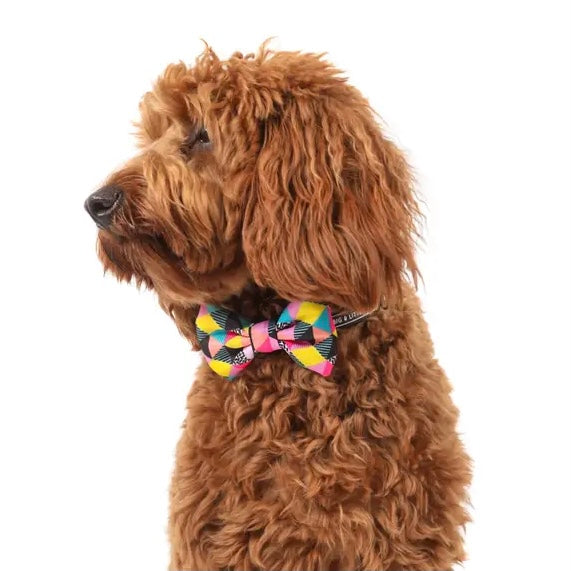 All-Sorts Collar + Bow Tie