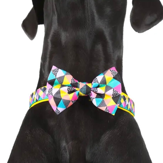 All-Sorts Collar + Bow Tie