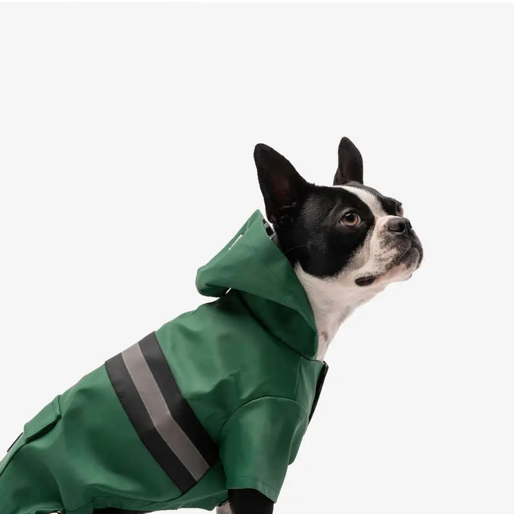 Reflective Green Raincoat