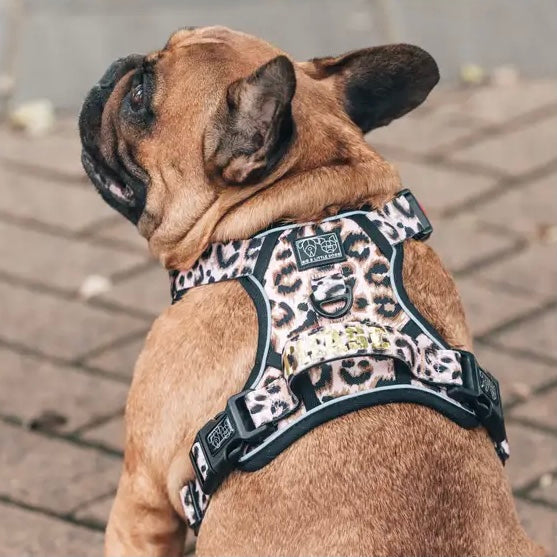 Leopard Print Dog Harness