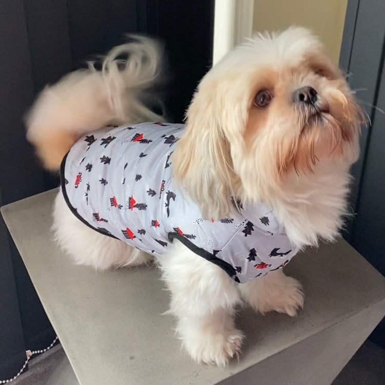 Cosy Christmas Coat