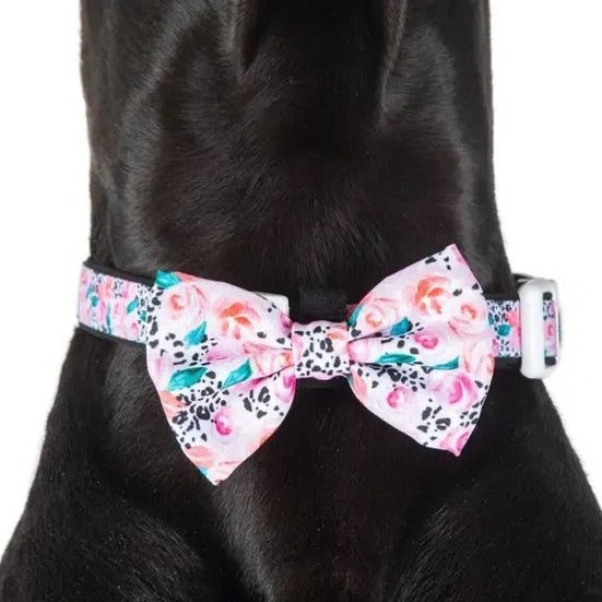 Pretty Peony Collar + Bow Tie
