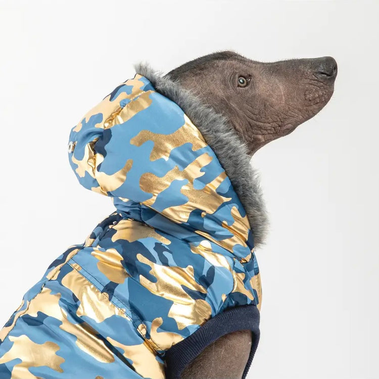 Blue & Gold Camo Coat