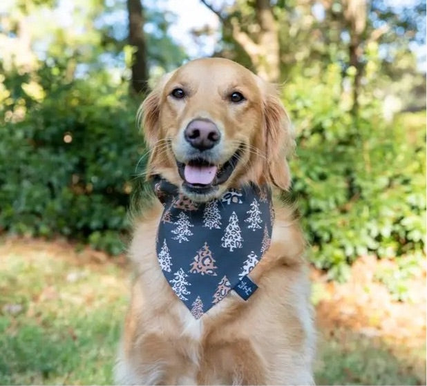 Wild Christmas Tree Dog Bandana