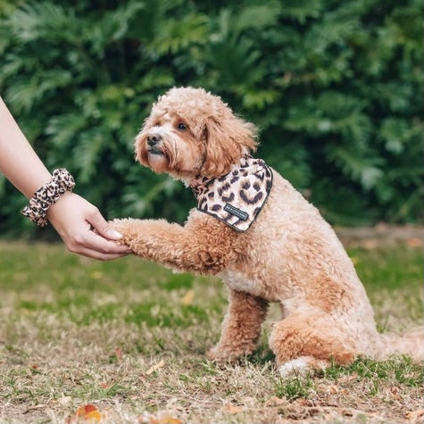 Luxurious Leopard Scrunchie