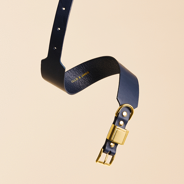 Navy Leather Collar