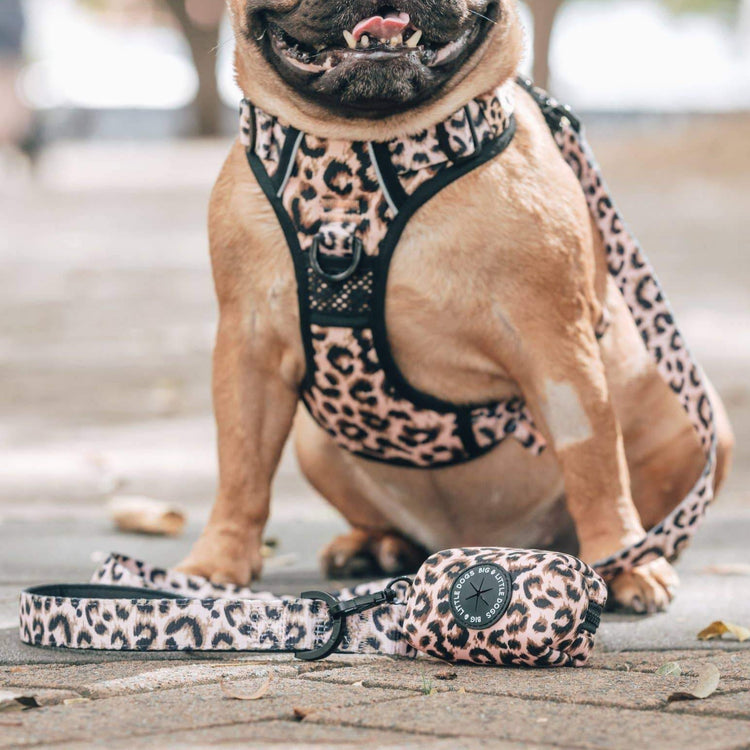 Leopard Print Dog Accessories