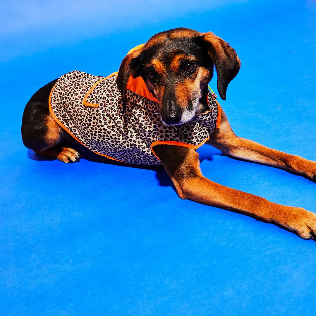 Leopard raincoats on sale