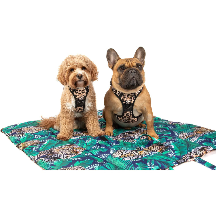 Reversible Travel Mat - Luxurious Leopard