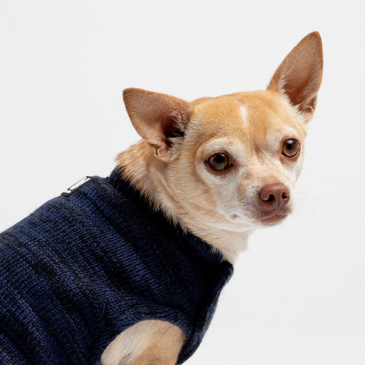Navy Fleece Lined Sweater
