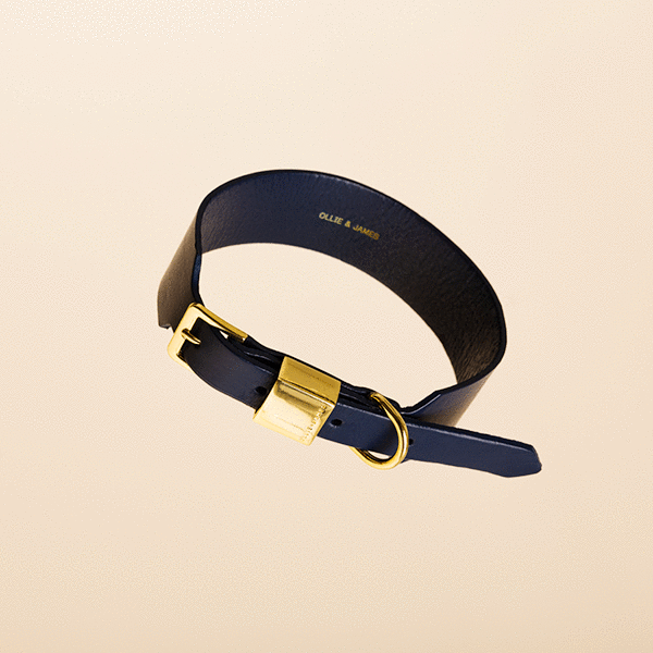 Navy Leather Collar