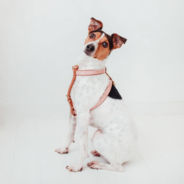 Pink Leather Strap Harness