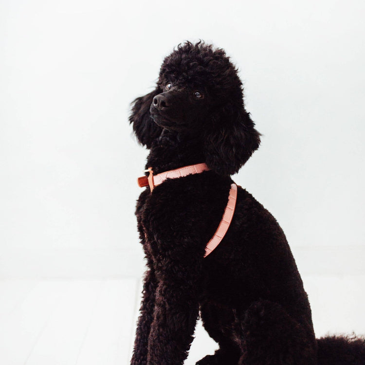 Pink Leather Strap Harness