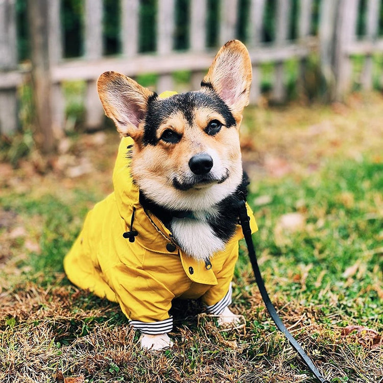 Yellow Splash Raincoat