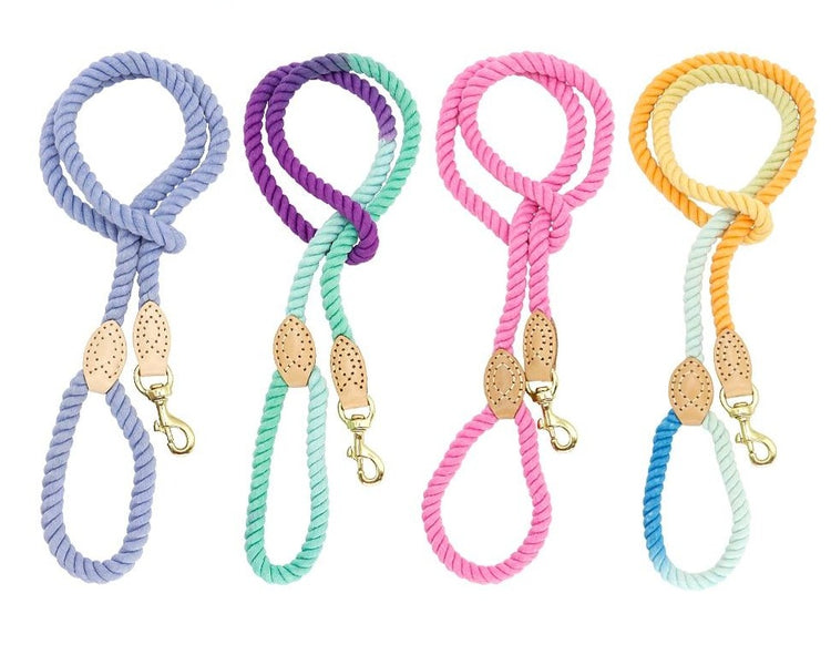 Ombre Rope Lead - Green + Purple