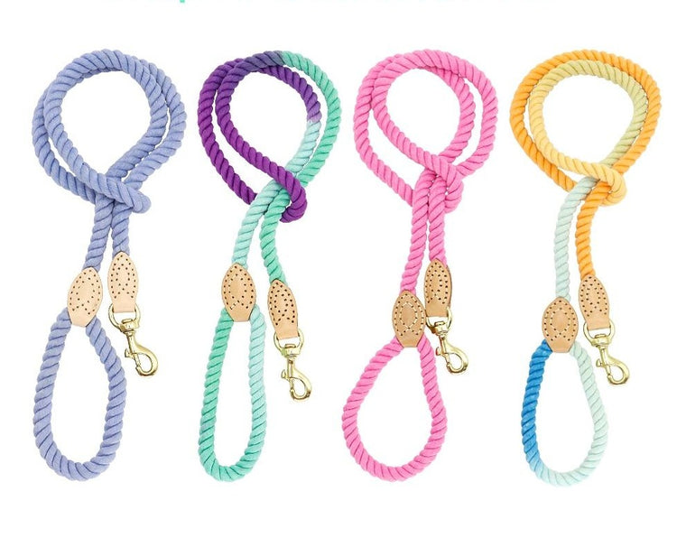 Ombre Rope Lead - Blue + Orange
