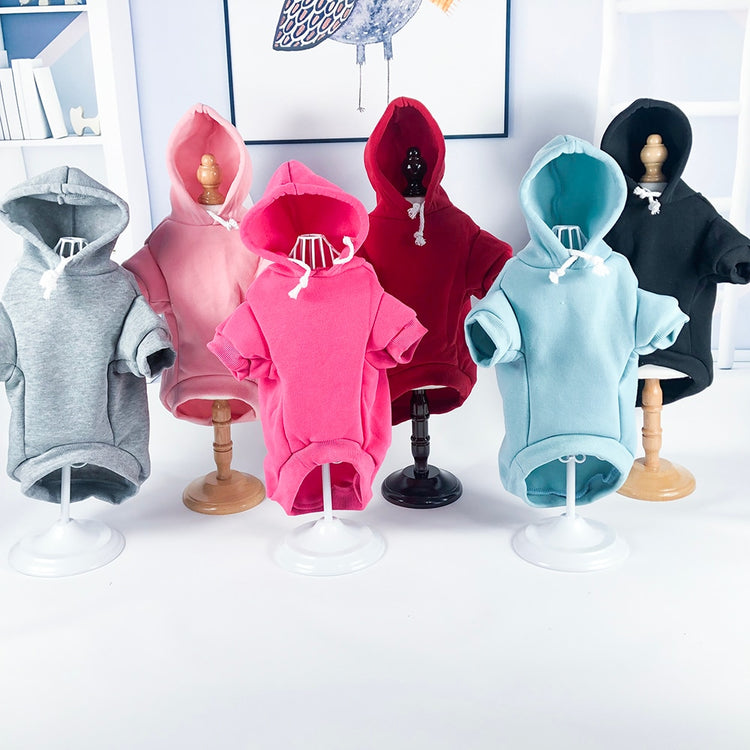 Baby Blue Breezy Hoodie