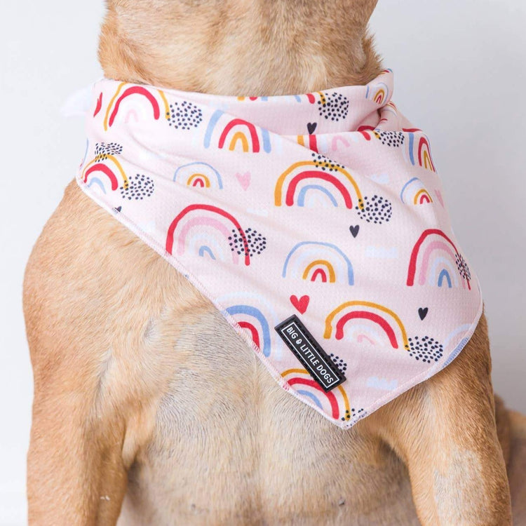 Rainbow Dreams Bandana