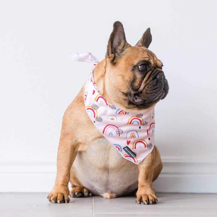 Rainbow Dreams Bandana