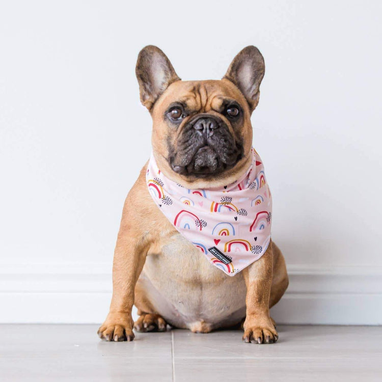 Rainbow Dreams Bandana