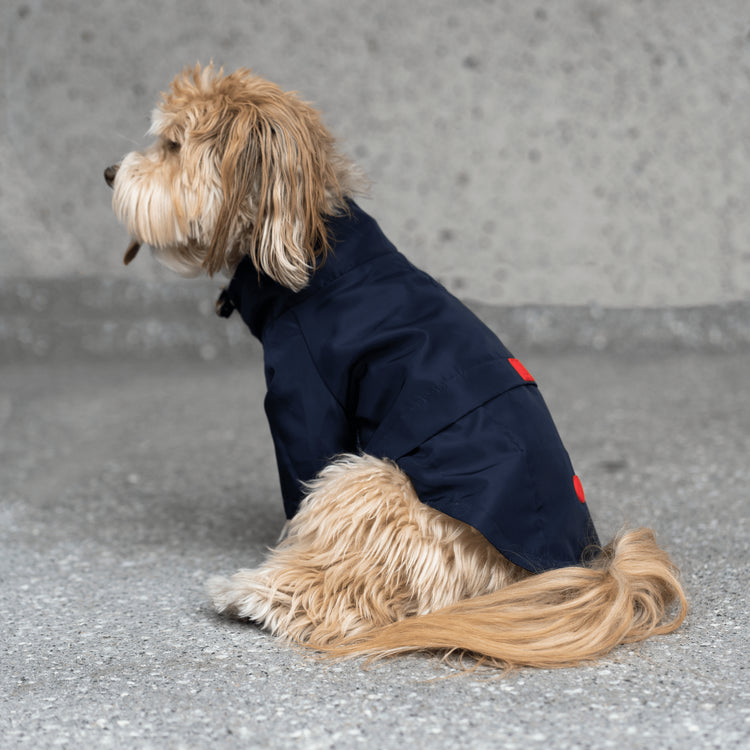 Jean-Paul Raincoat