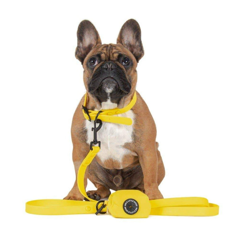 Yellow Waterproof Walkies Set