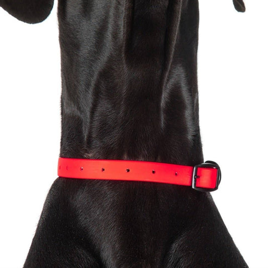 Candy Red Waterproof Collar
