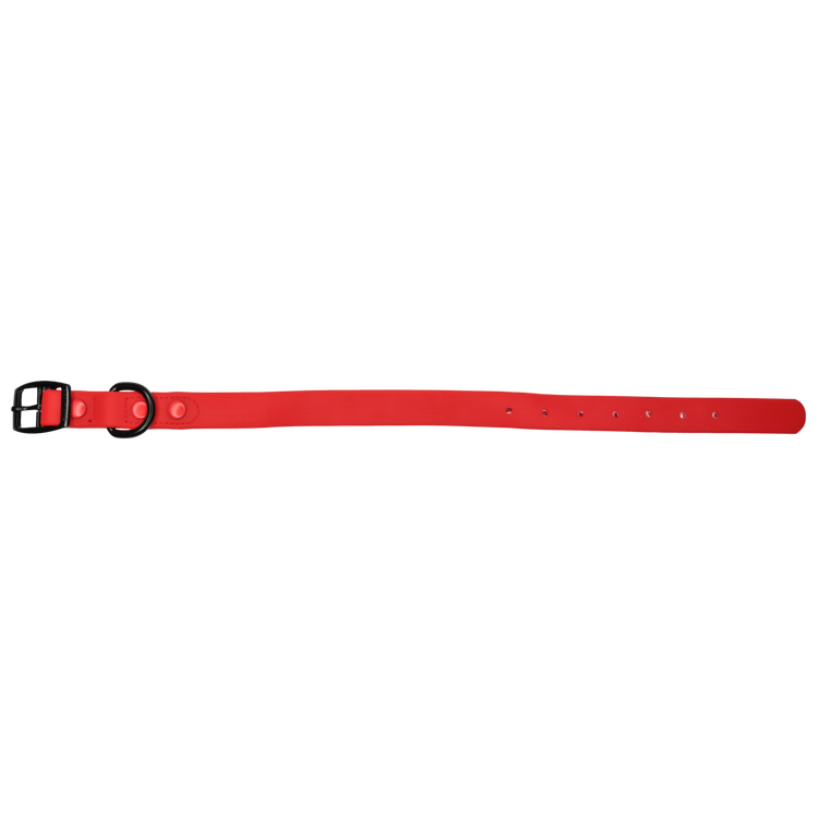 Candy Red Waterproof Collar