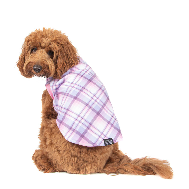 Purple & Pink Plaid Fleece