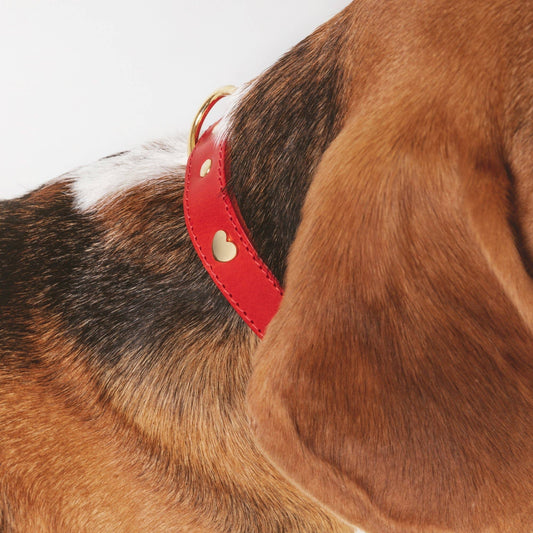 Red Leather Heart Collar