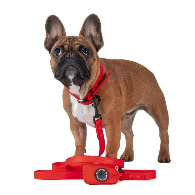 Candy Red Waterproof Walkies Set