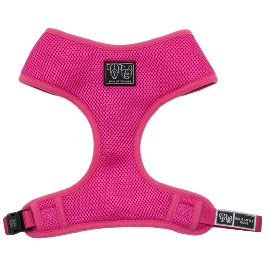 Hot Pink Harness