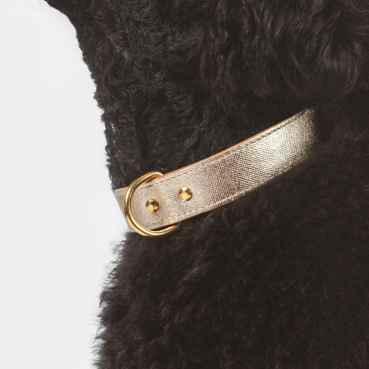 Gold Leather Collar