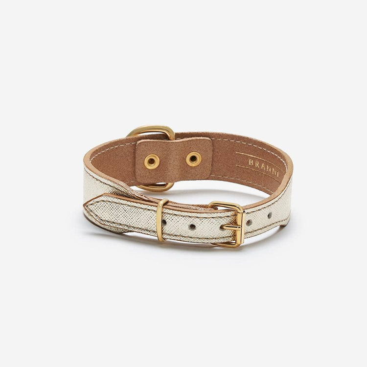 Gold Leather Collar