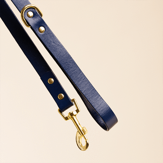 Navy Leather Lead