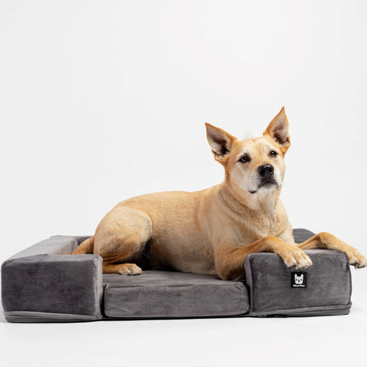 Milo Dog Bed