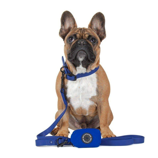 Navy Waterproof Walkies Set