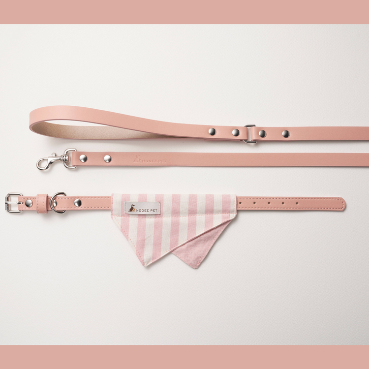 Pinky Collar + Lead Set