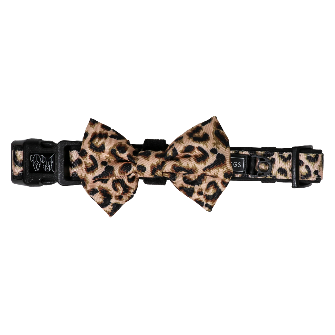 leopard dog collar