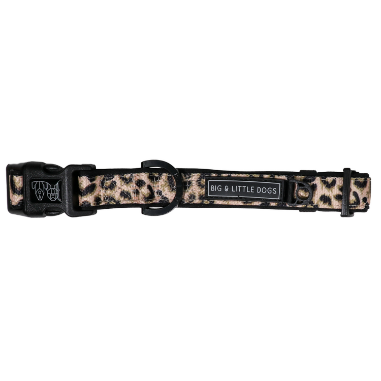 Luxurious Leopard Collar + Bow Tie