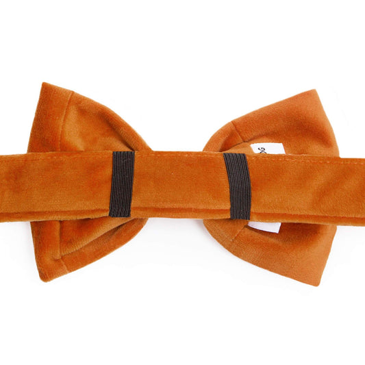 Dog Bow Tie - Pumpkin Orange