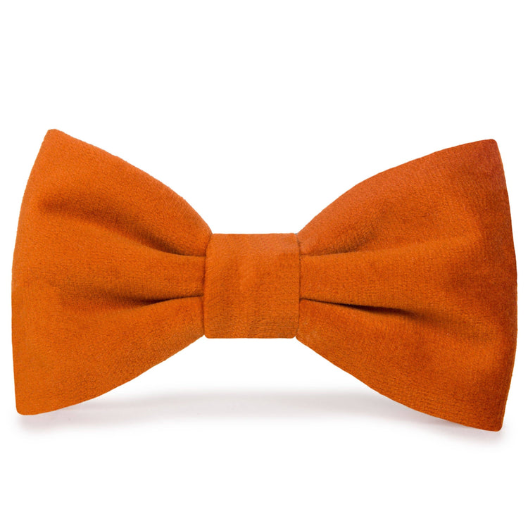 Dog Bow Tie - Pumpkin Orange